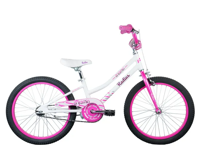 20" Radius Dreamin 1