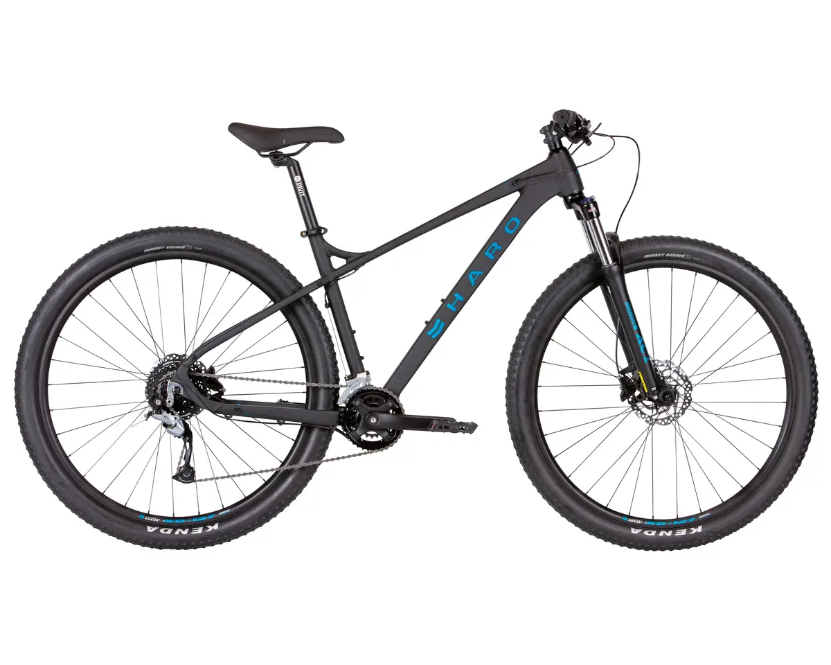 Haro Double Peak Trail (2023) 1