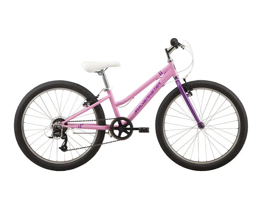 24" Malvern Star Roxy (2025) 1