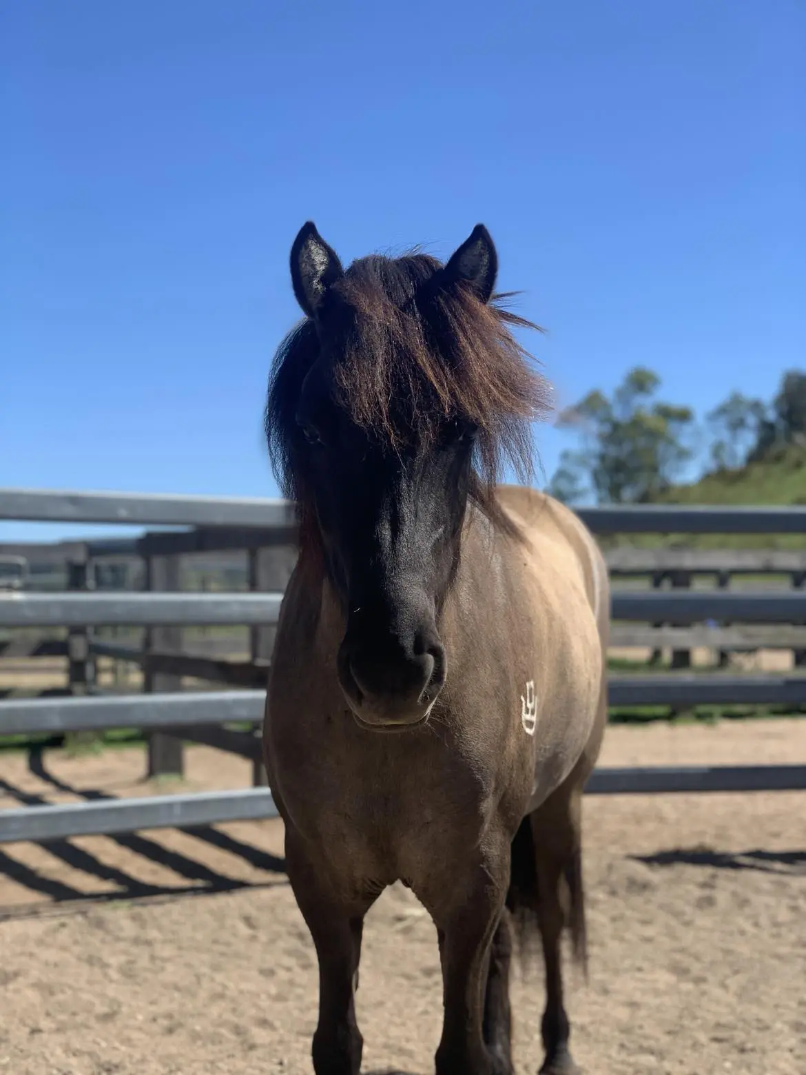 Kerski - Coming Up For Sale In 1 Month 1