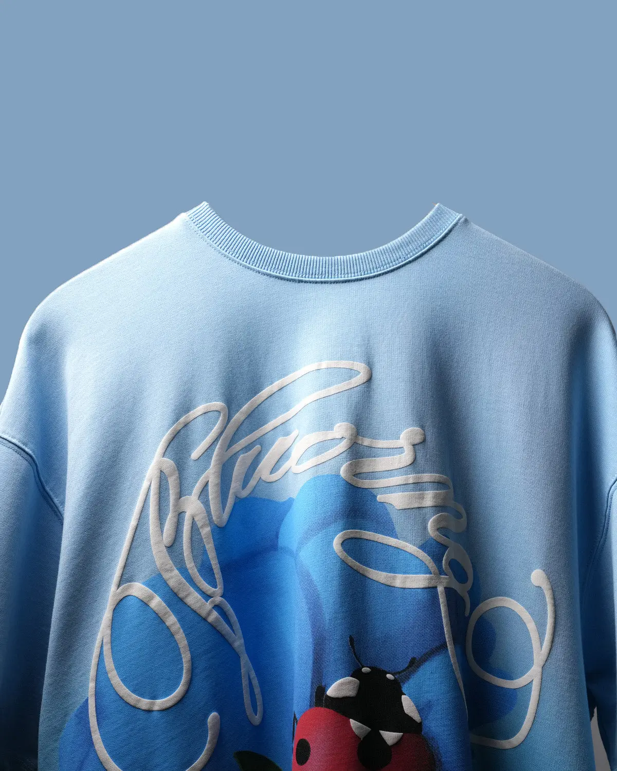 Glacial Blue Ladybird T-Shirt 1