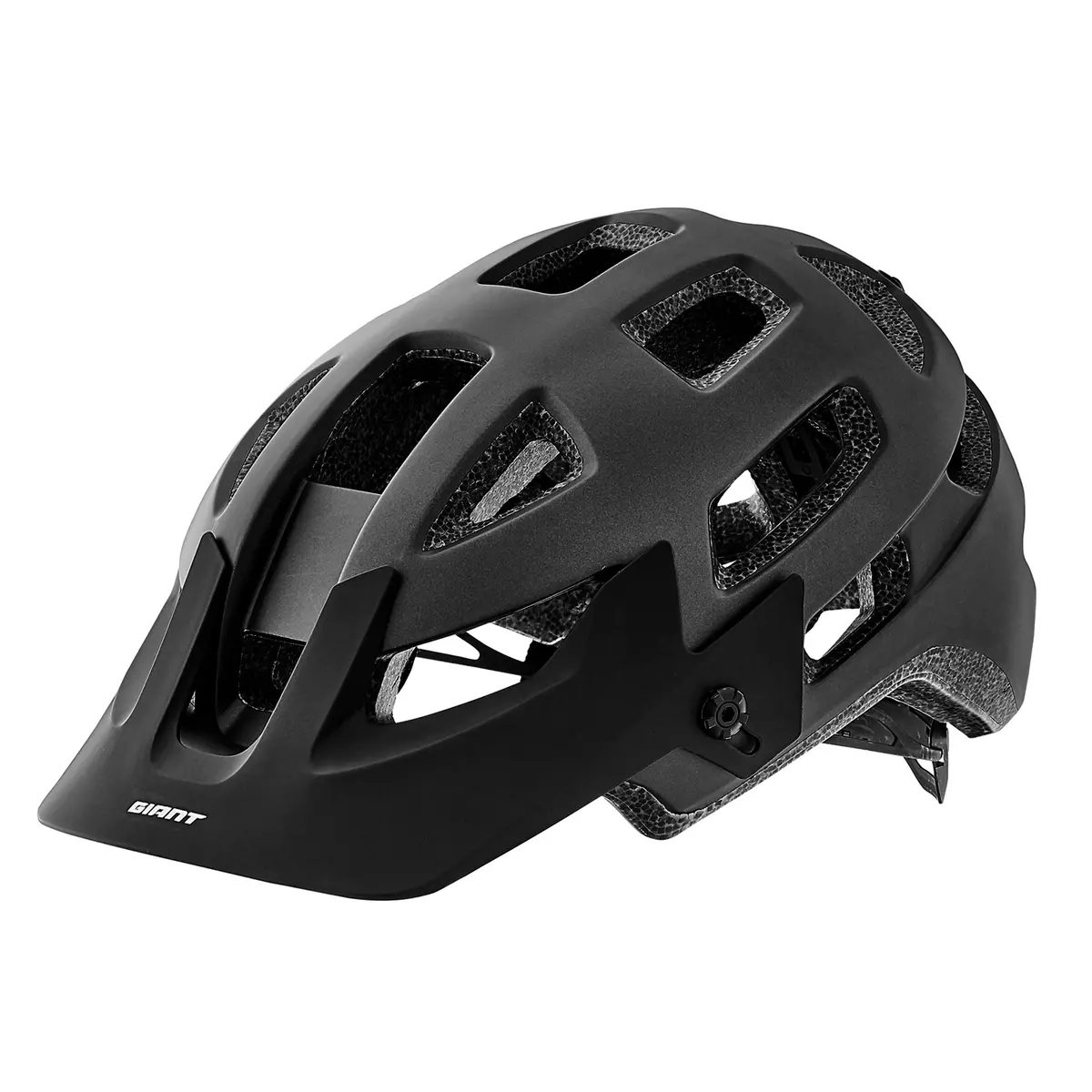 Giant Rail Helmet 1
