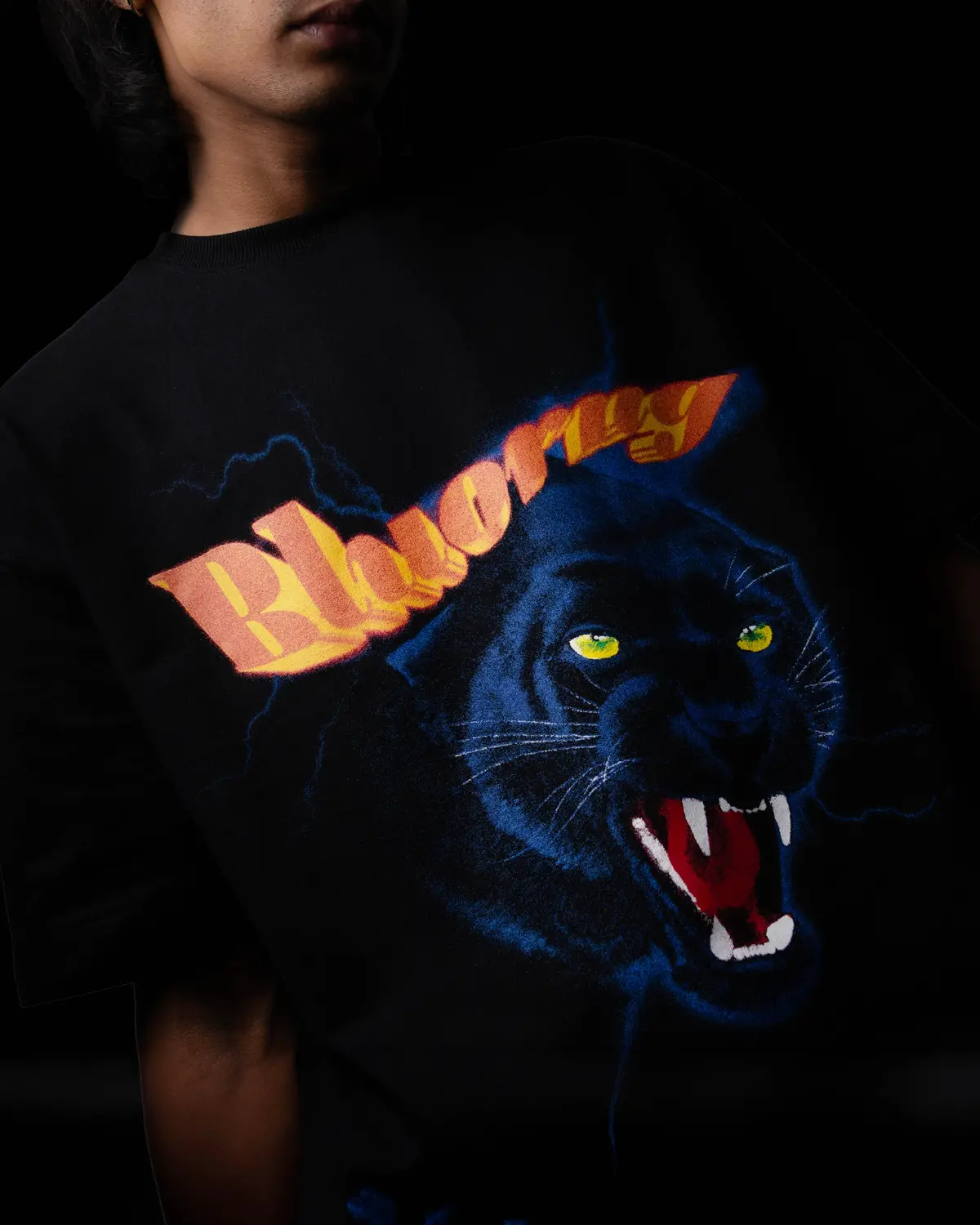 Flash Cat T-Shirt 1