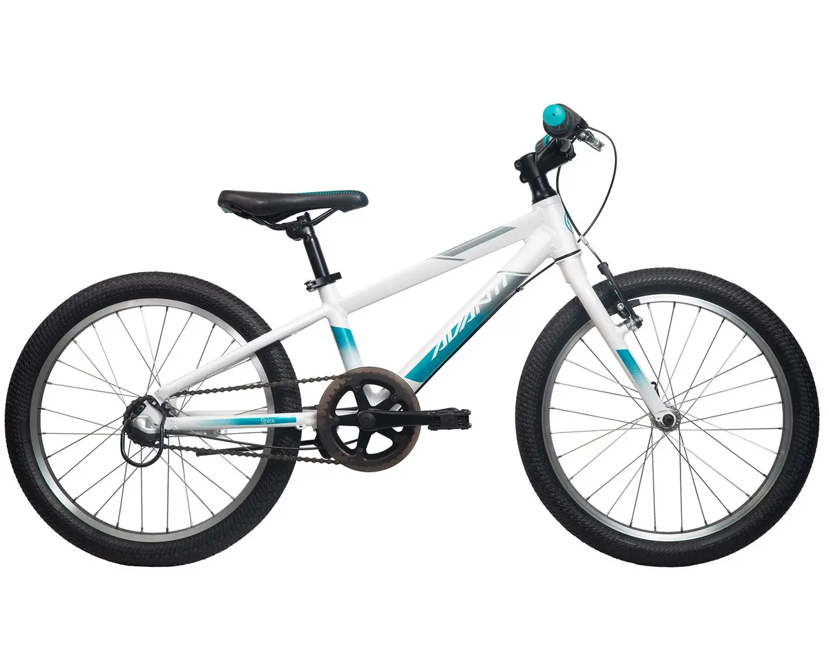 20" Avanti Spice 20I 3 Speed 1