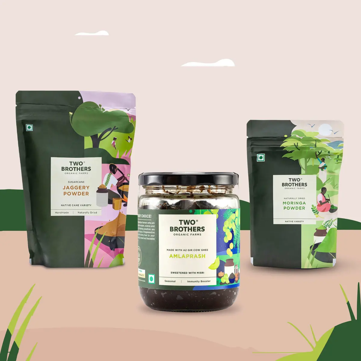Energy Support - Amlaprash (500G) + Crushed Jaggery (500G) + Moringa Powder (100G) 1