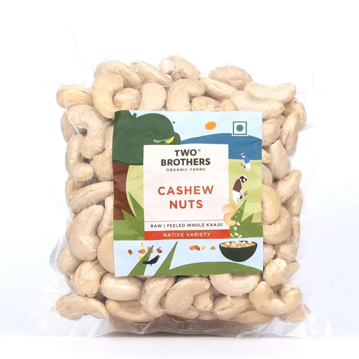 Raw Cashew Nuts 1