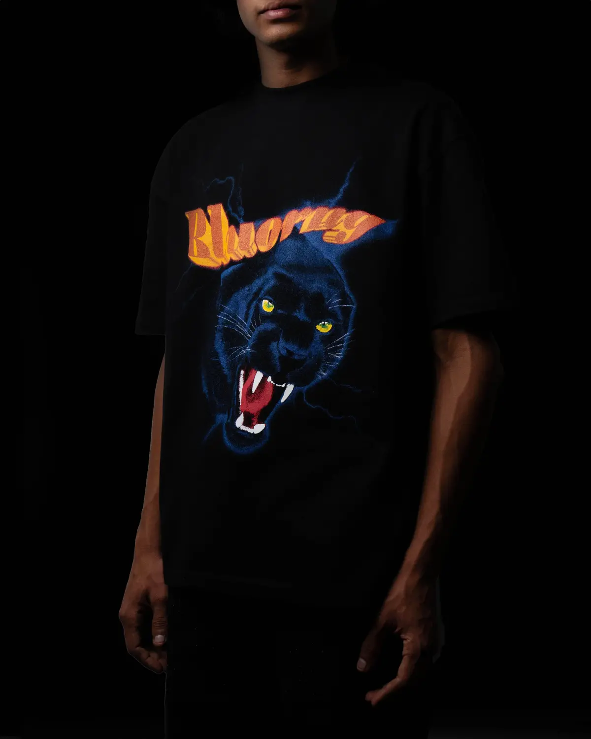 Flash Cat T-Shirt 2