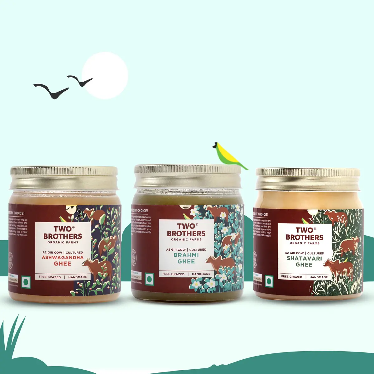 Herbal Ghee Combo - Ashwagandha (250G) + Shatavari (250G) + Brahmi (250G) 1