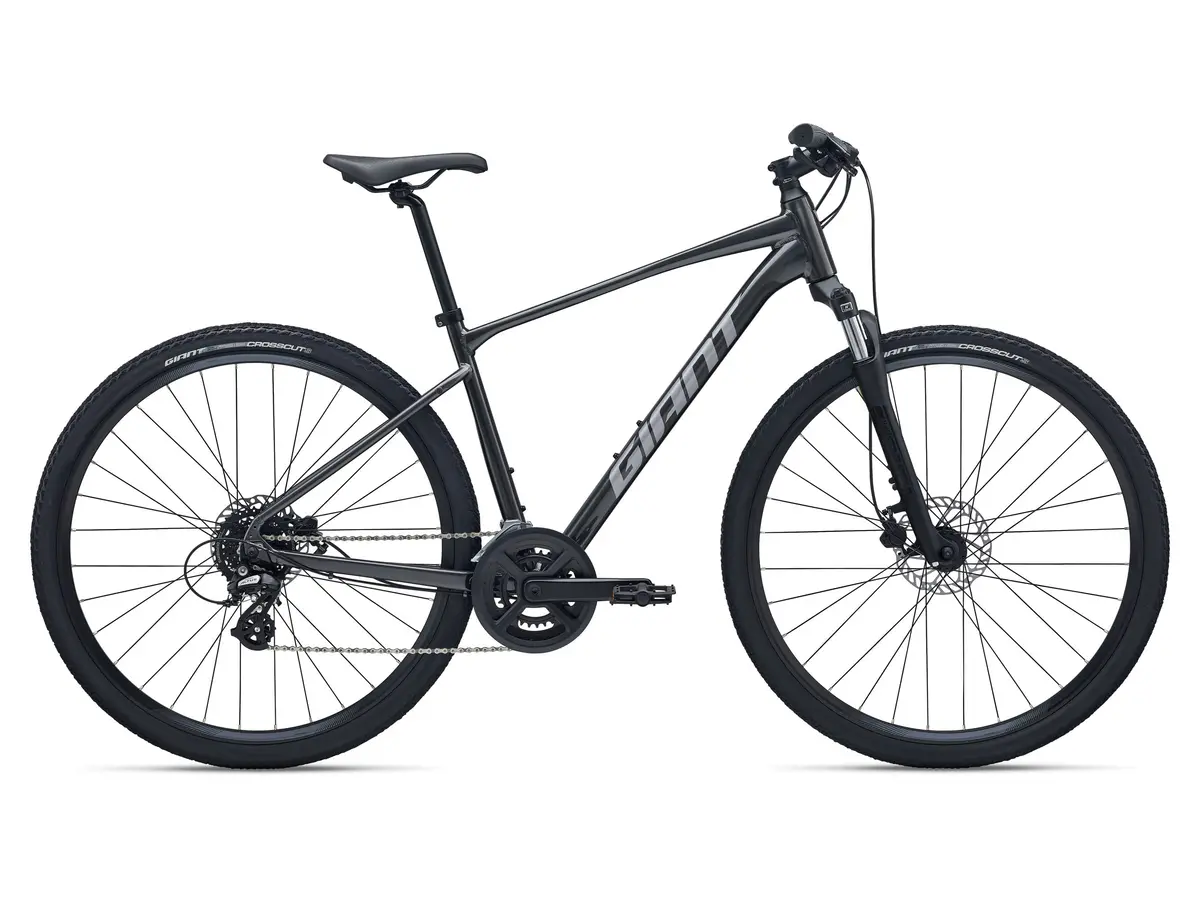 Giant Roam 4 (2026) 1