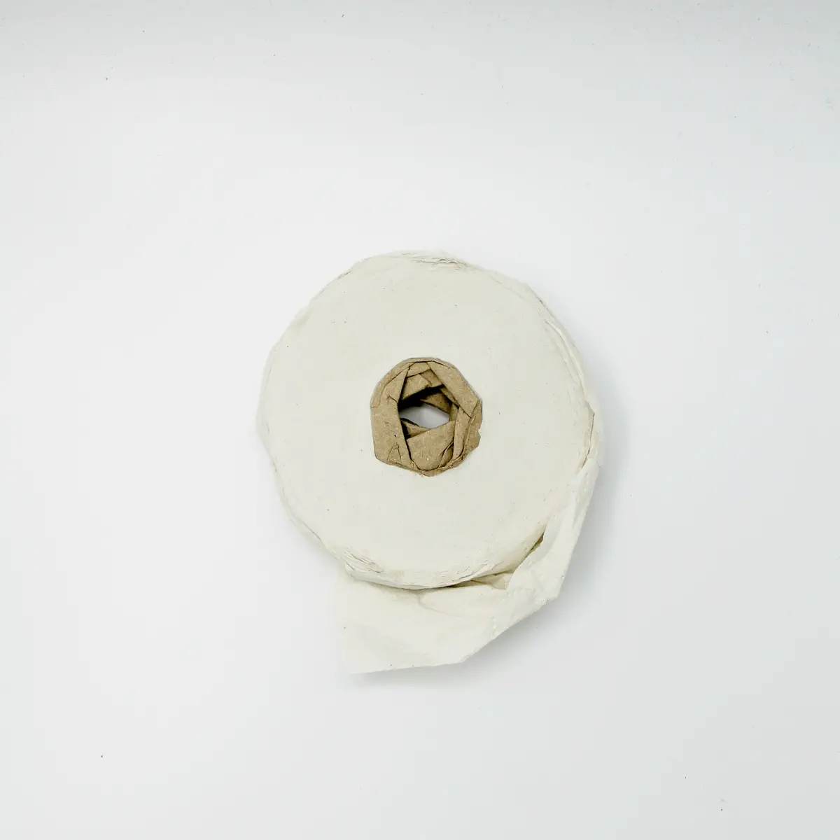 Crushed Toilet Paper 1