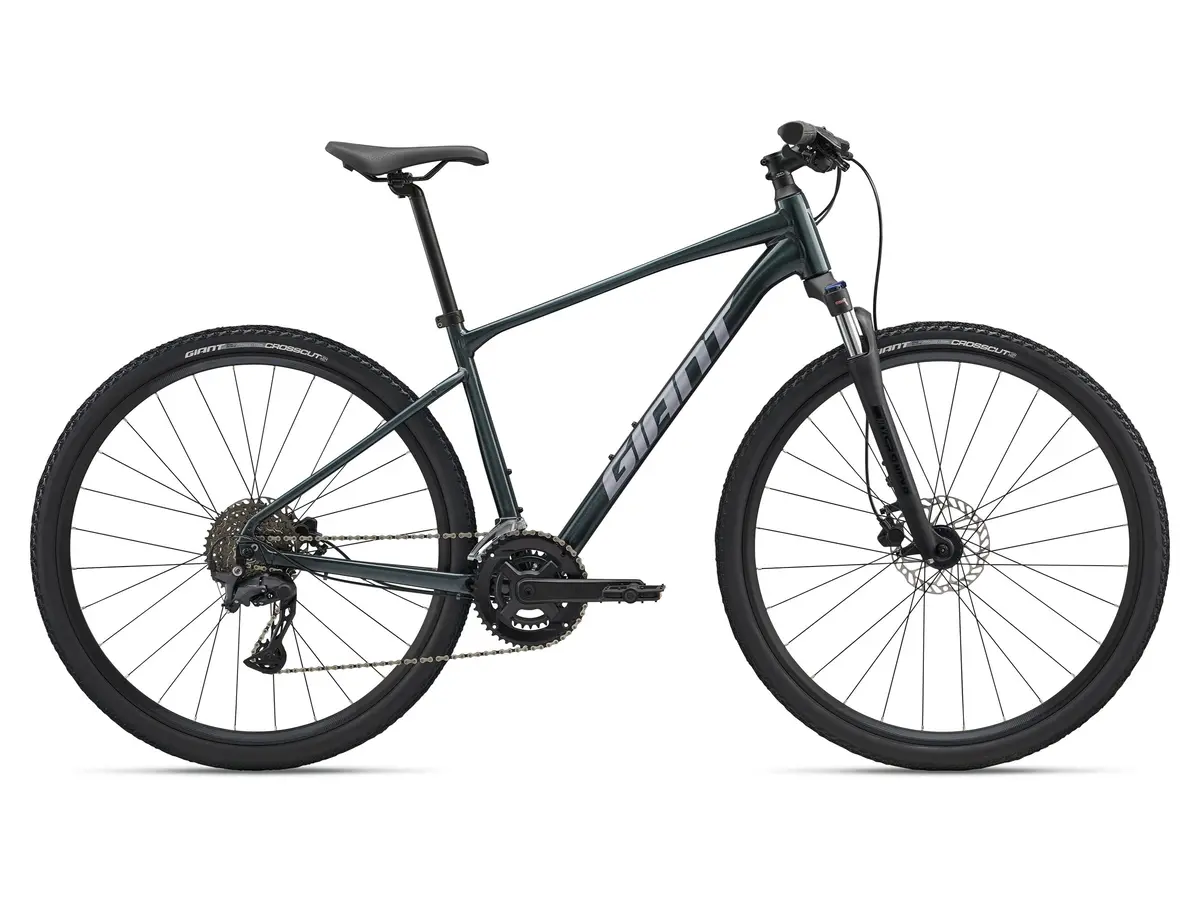 Giant Roam 2 (2025) 1