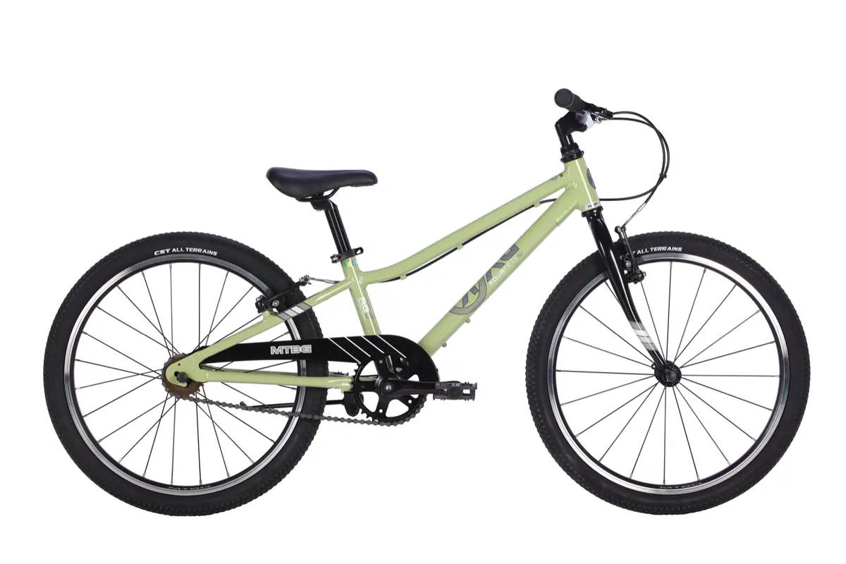 22" Byk E-450 Mtb Girls Single Speed 1