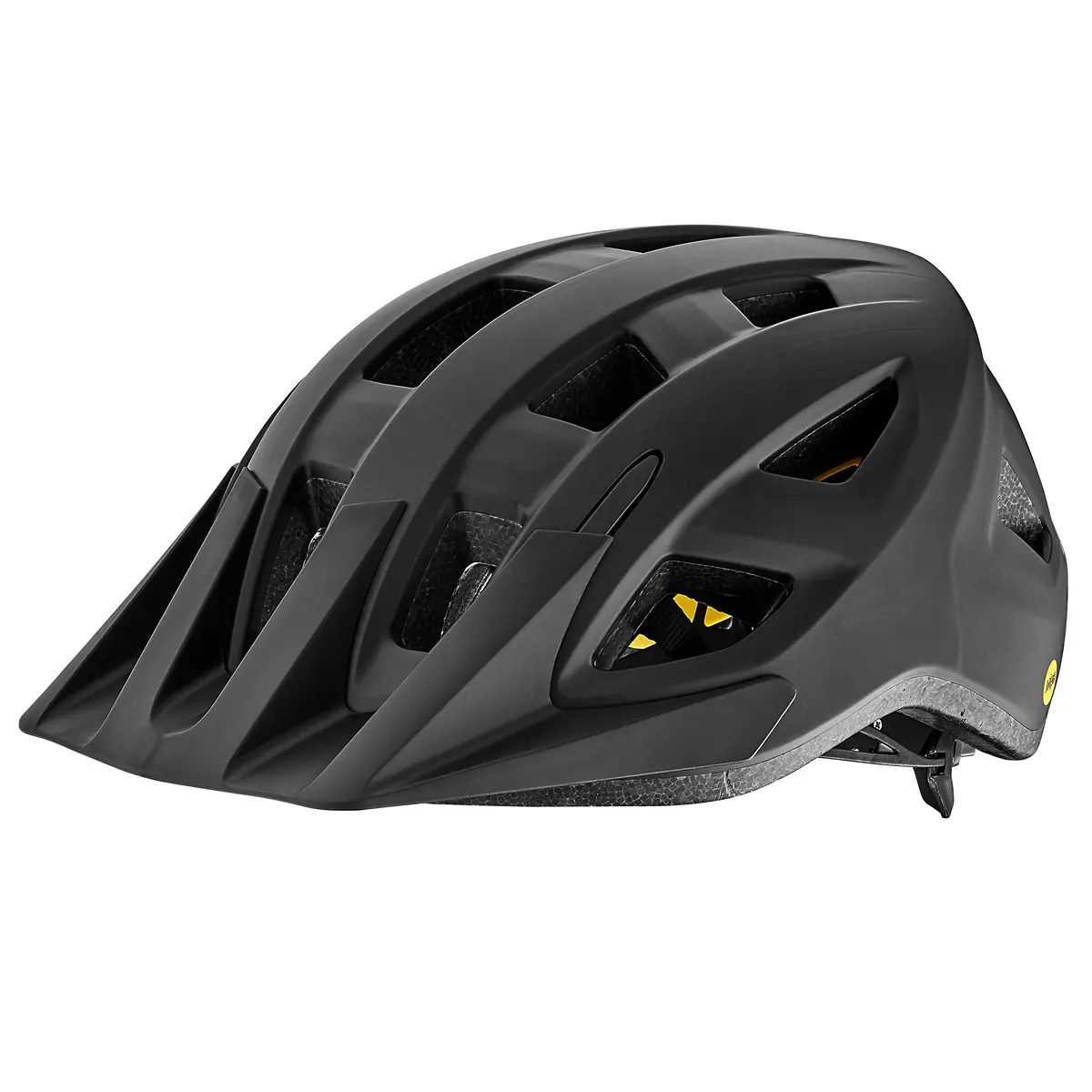 Giant Path Mips Helmet 1