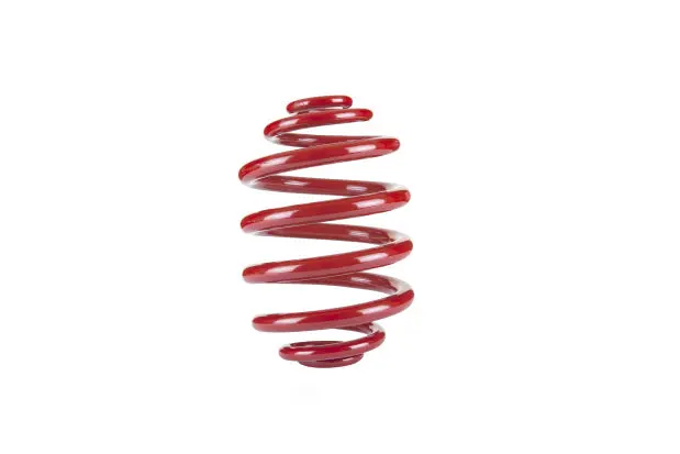 Pontiac Gto Pedders Rear Springs 1