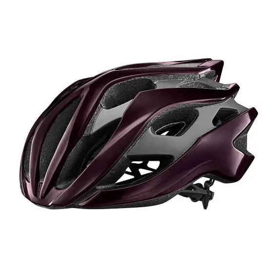 Liv Rev Mips Helmet 1