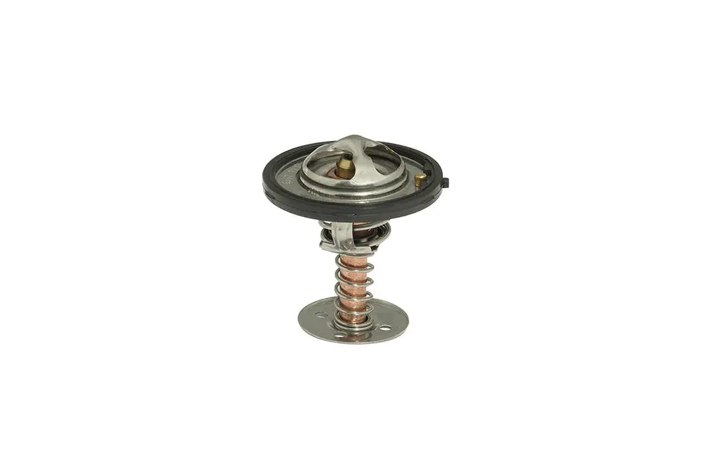 Ls High Flow Thermostat 1