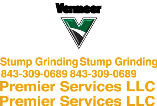 Fits Premier Services Llc Vinyl Cut 1