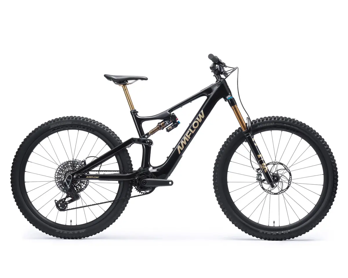 Amflow Pl Carbon Pro (800Wh) 1
