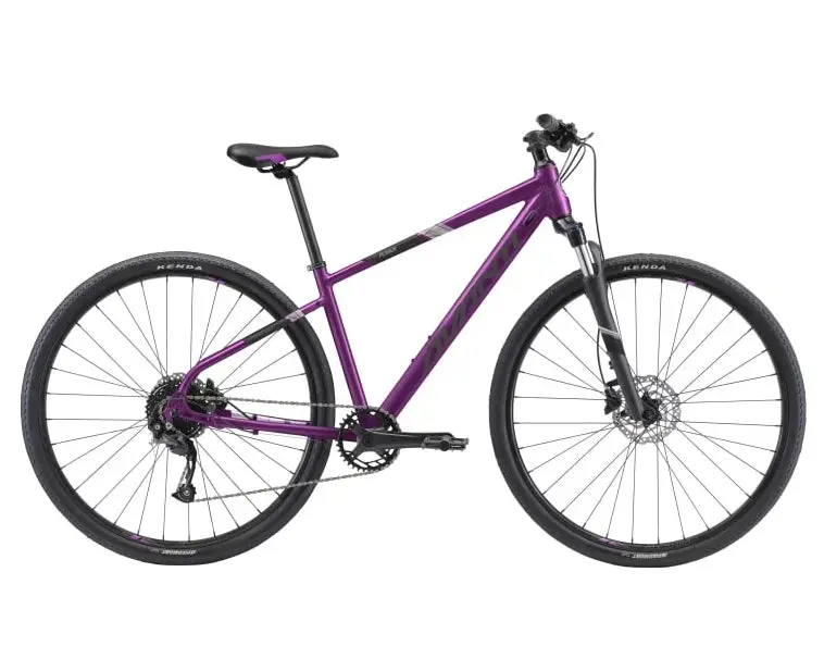 Avanti X-Plorer Ms 2W 1