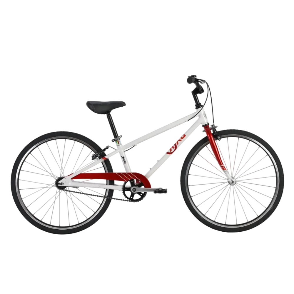 24" Byk E-540 Coaster Boys 1