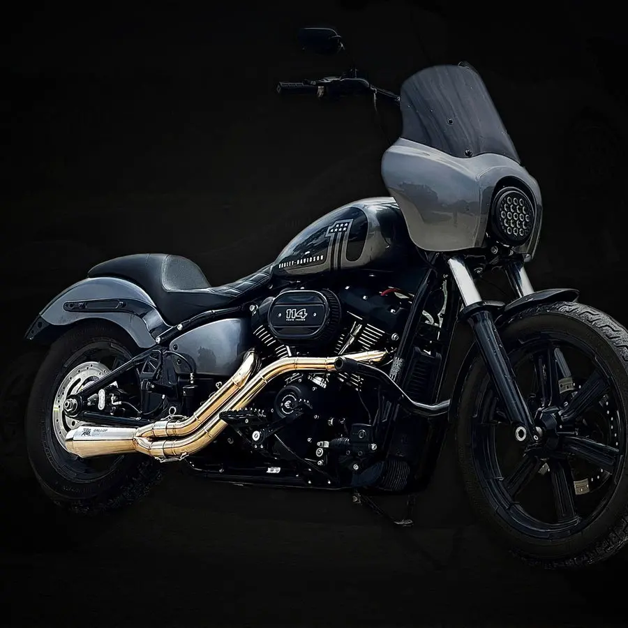 2 Into 1 Exhaust For Harley-Davidson -The Hooligan 1