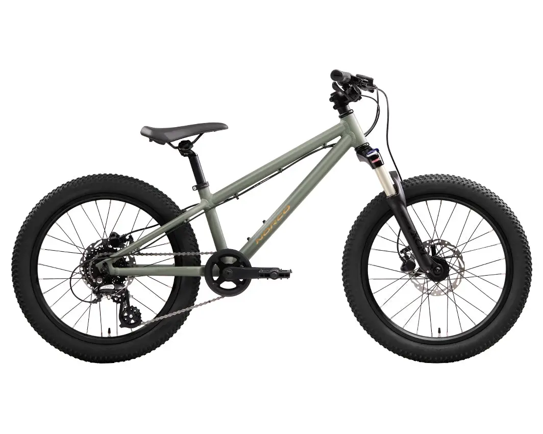 20" Norco Charger Youth (2025) 1