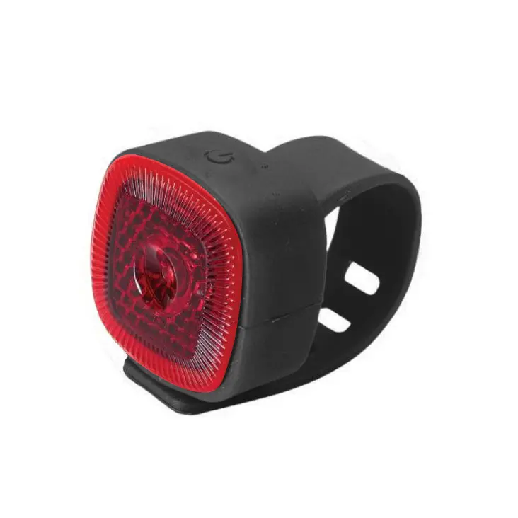 Torch Speedlight Flash Usb Rear Light 1