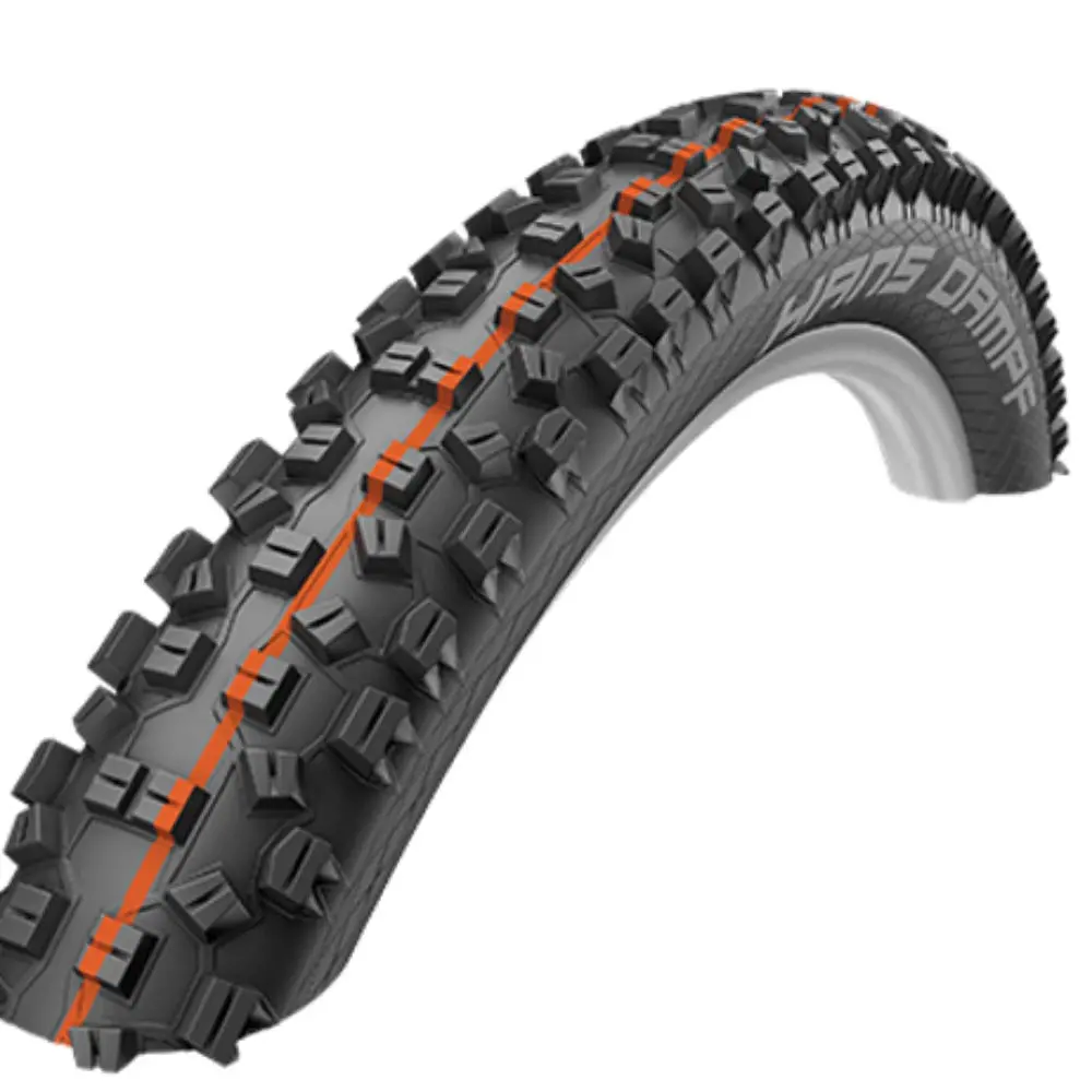 Tyre 29 Schwalbe Hans Dampf Folding 1