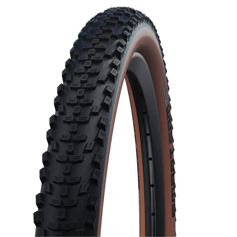Tyre 29 Schwalbe Smart Sam Wirebead - Bronze 1