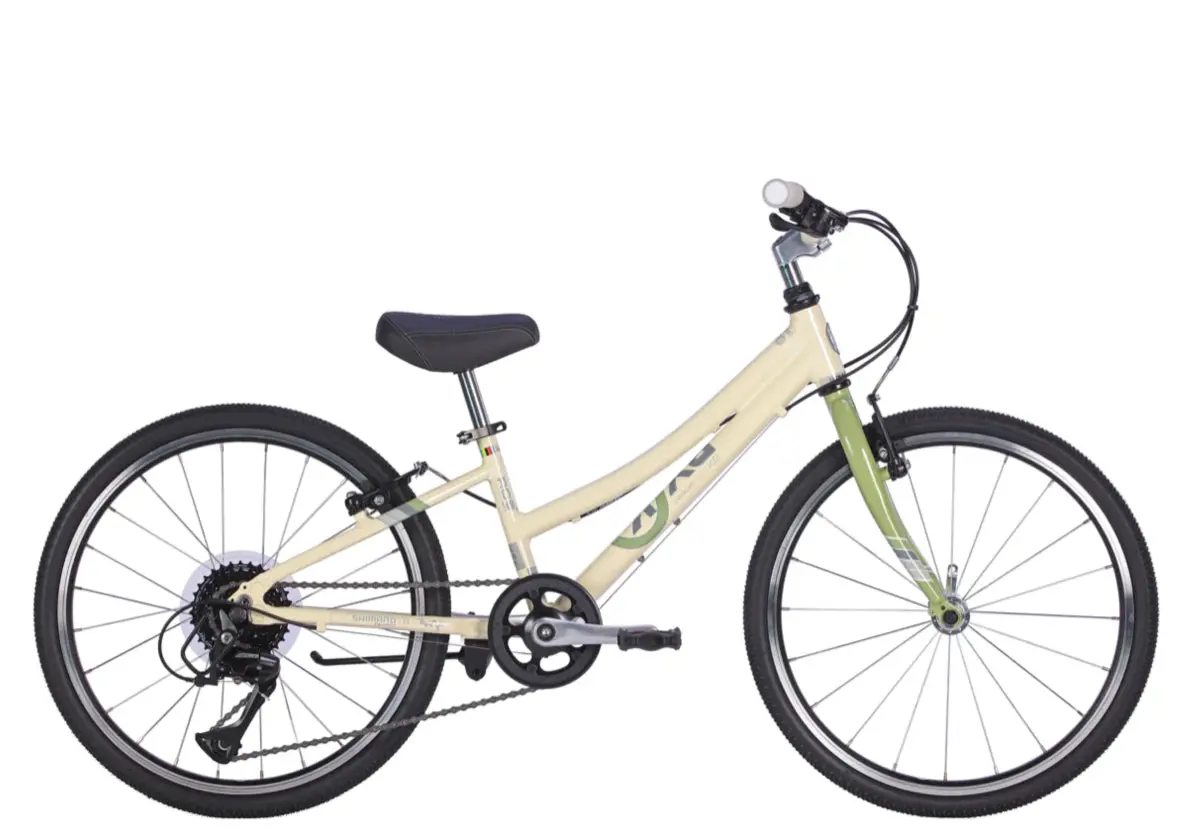 20" Byk E-450 Girls 8-Speed 1