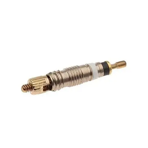 Valve Replacement Core Presta/French 1