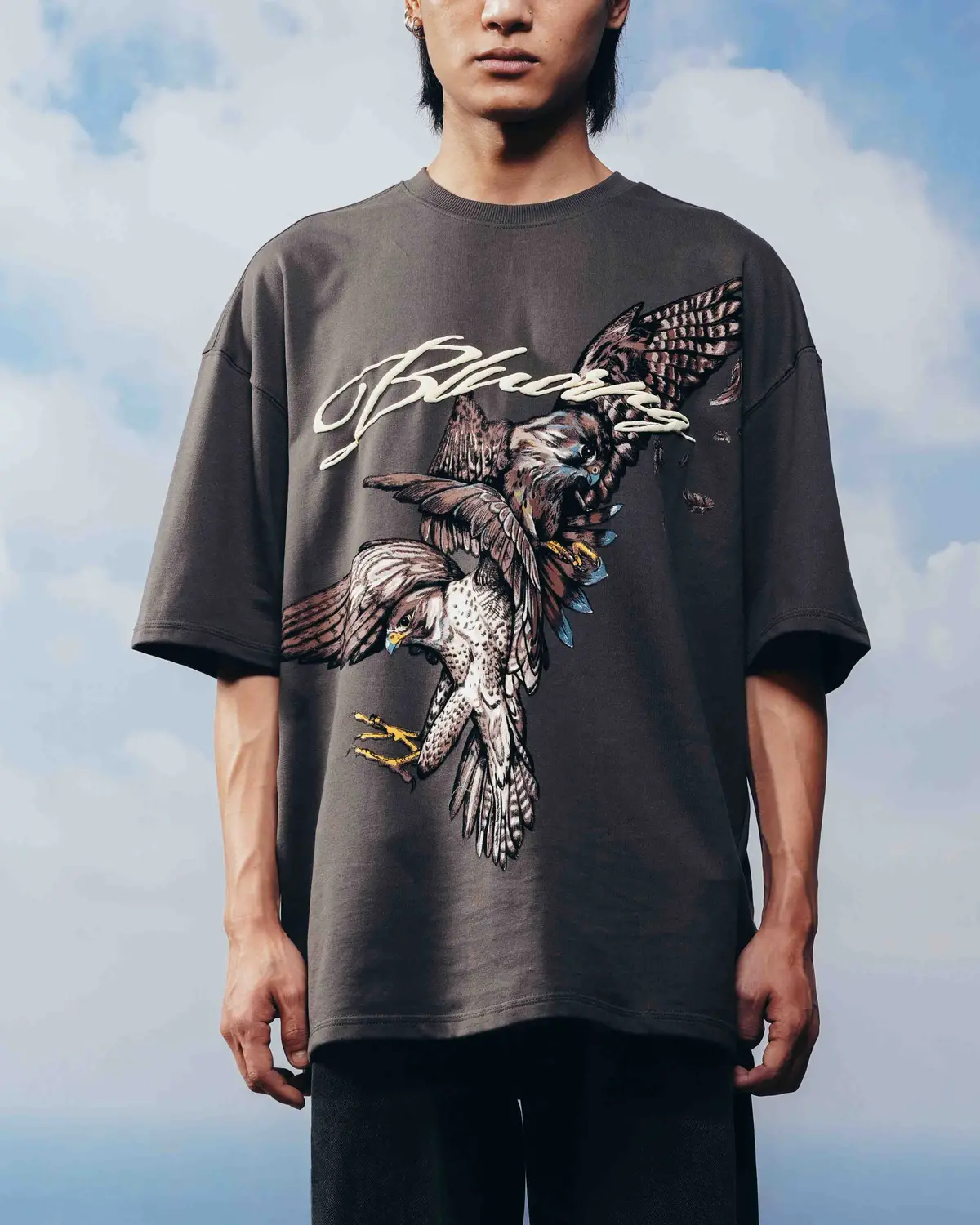 Grey Alpha Descent T-Shirt 2